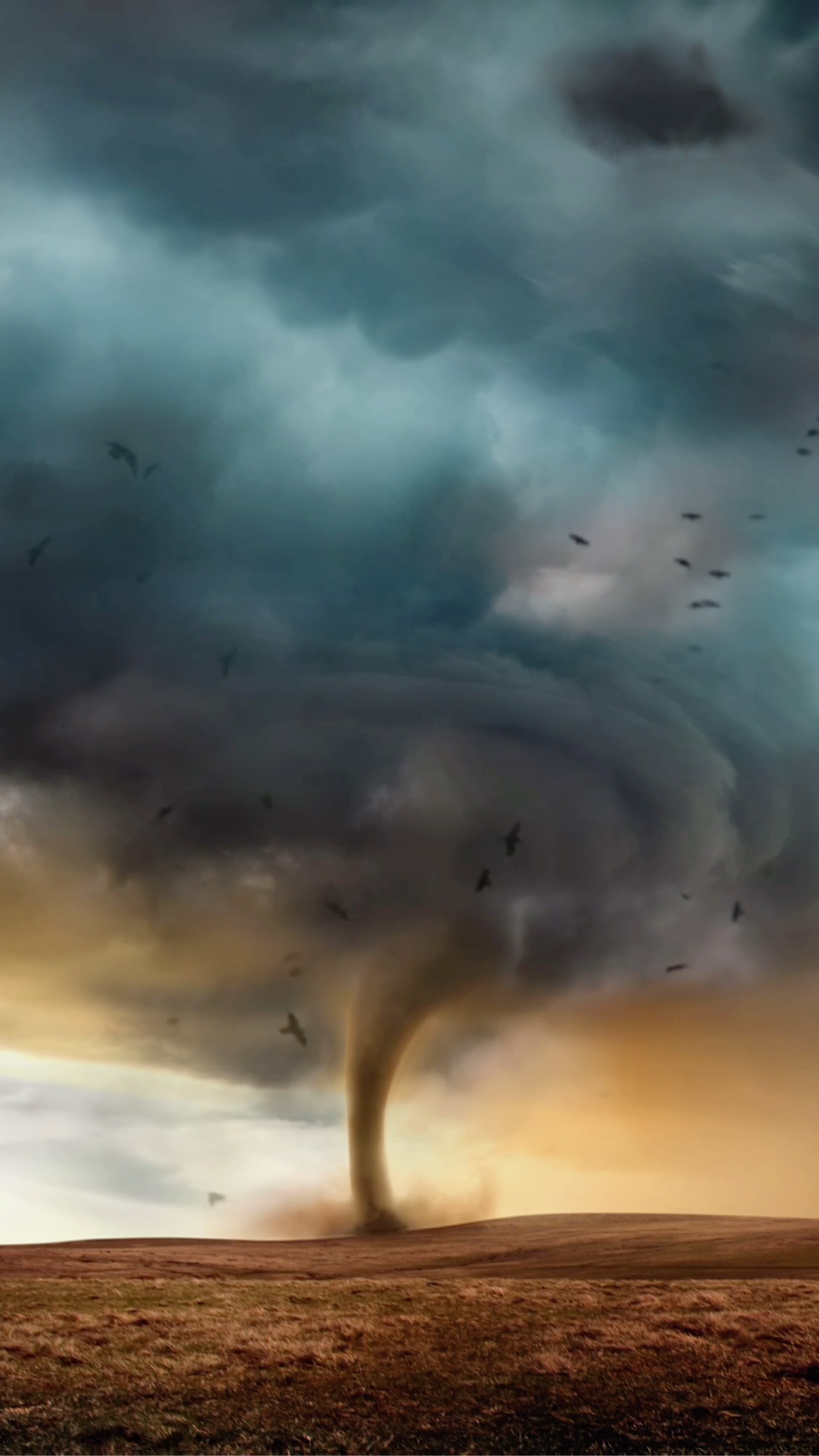 龙卷风长什么样 B站