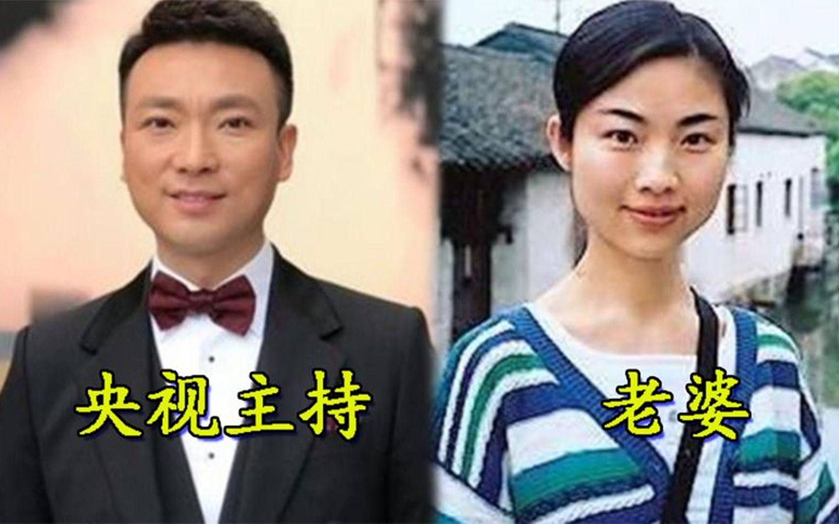 [图]11位男主持老婆颜值，康辉老婆天生丽质，看到杨帆老婆：美过董卿