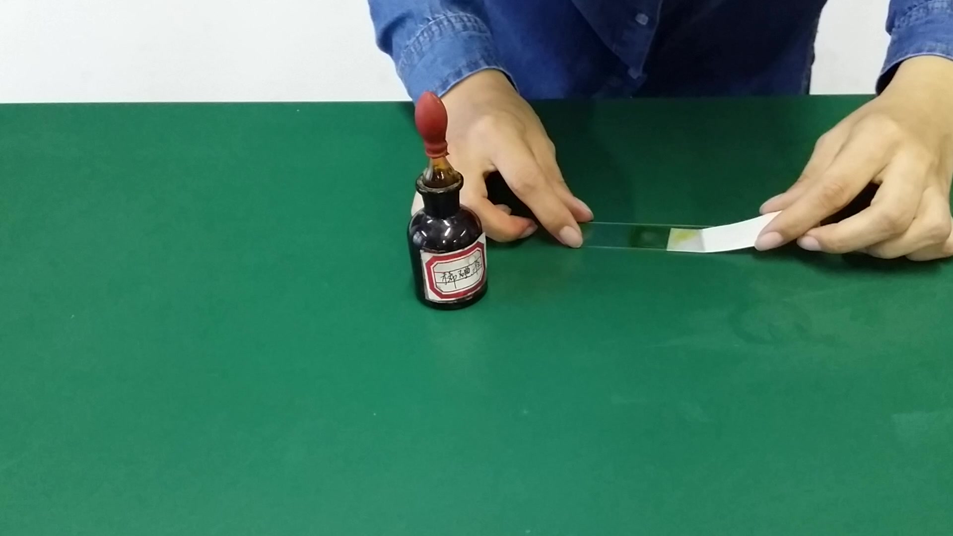 洋葱制作生物实验视频