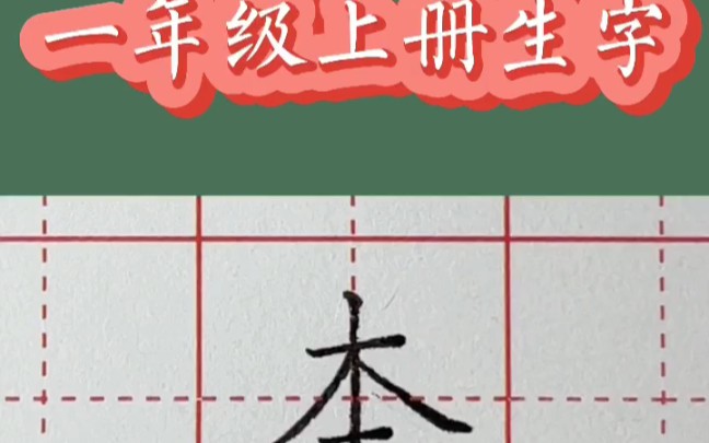 滨州书法培训 成人班学生班硬笔班毛笔班篆刻班 部编小学语文一年级上册生字硬笔楷书规范字书写示范 本的笔顺写法电视台,学习强国,齐鲁晚报专访书法...