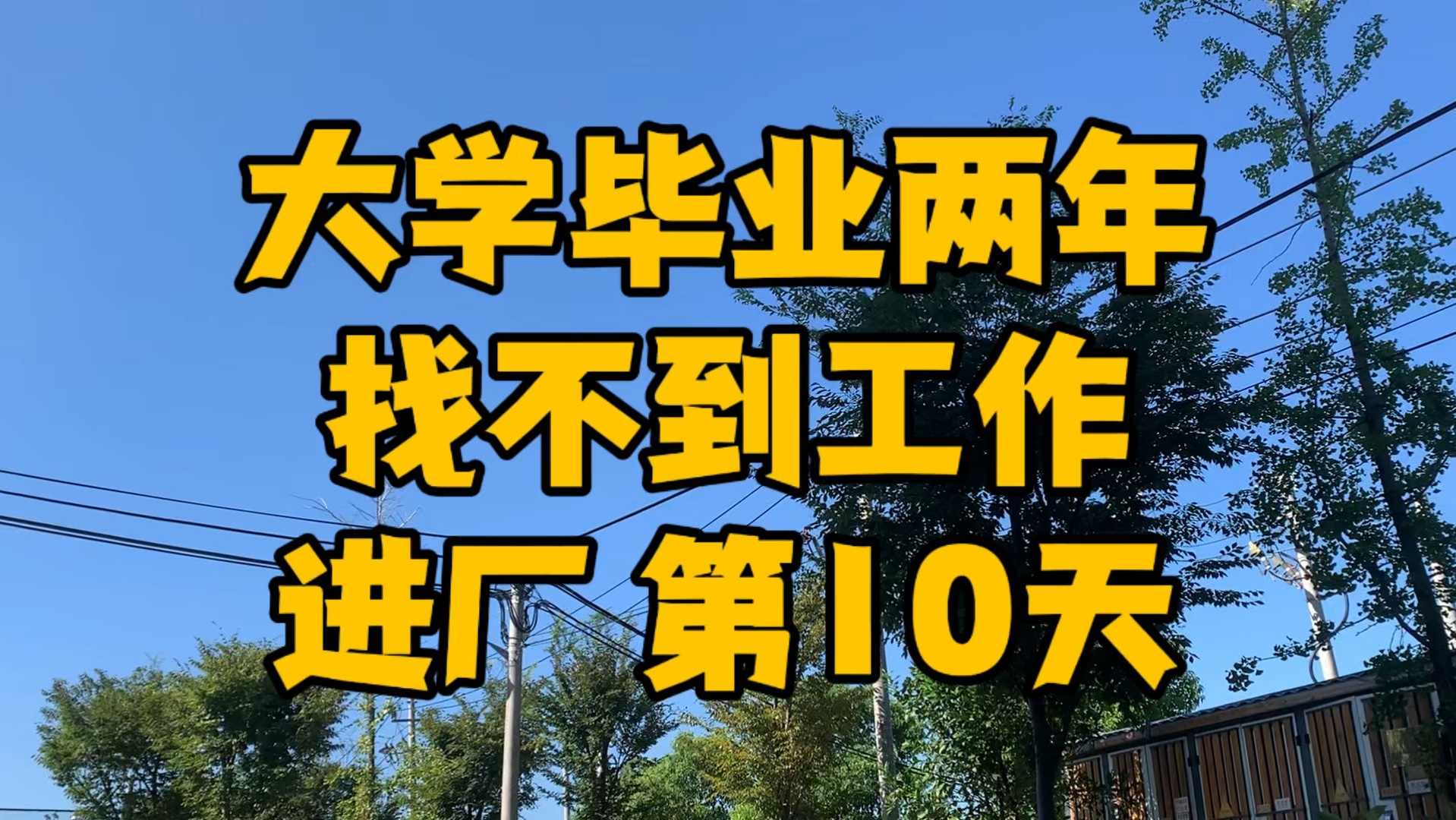 大学毕业后 选择进厂打杂,被同事大妈说 大学白读了哔哩哔哩bilibili