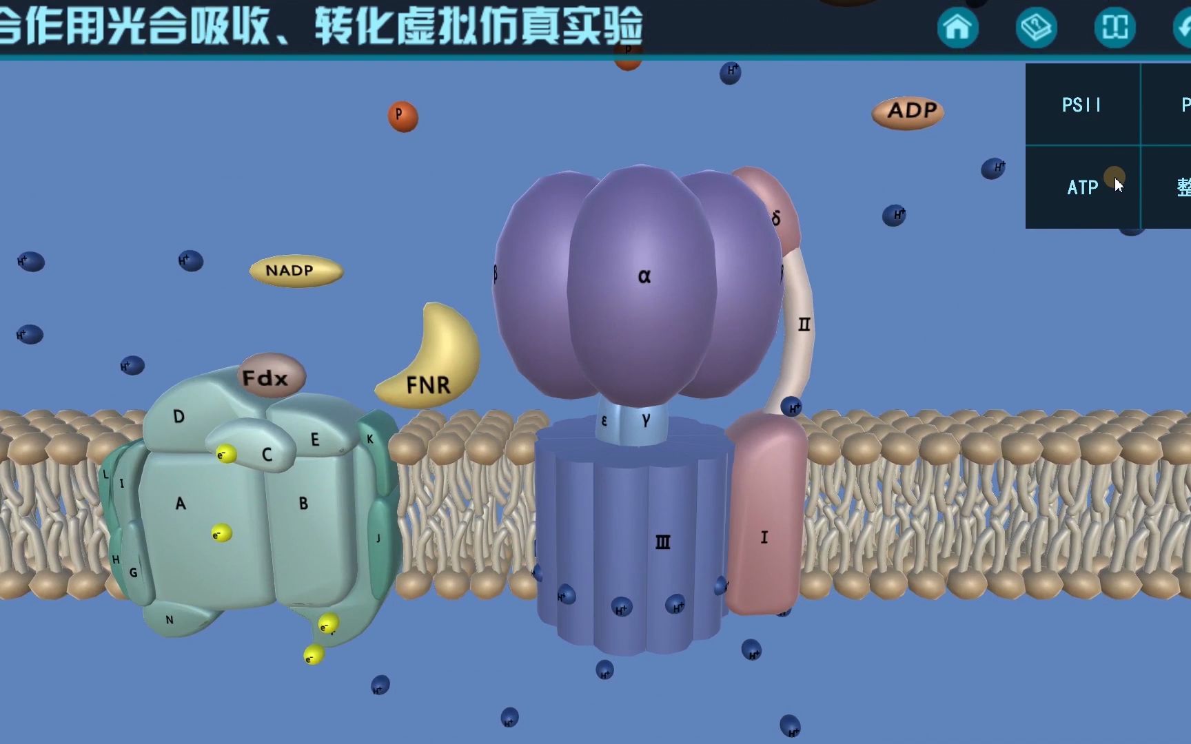 生物科学类虚拟仿真实验教学哔哩哔哩bilibili