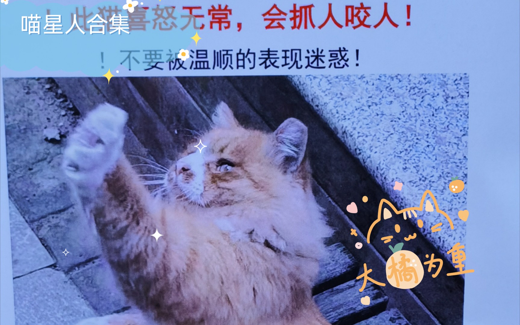 线条人系列喵星人合集哔哩哔哩bilibili