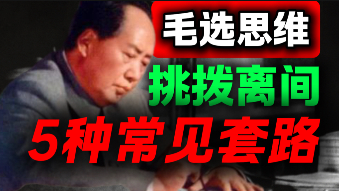 千万别吃哑巴亏，教员喊你看透职场所有算计｜第51期｜毛选解读｜毛选思维