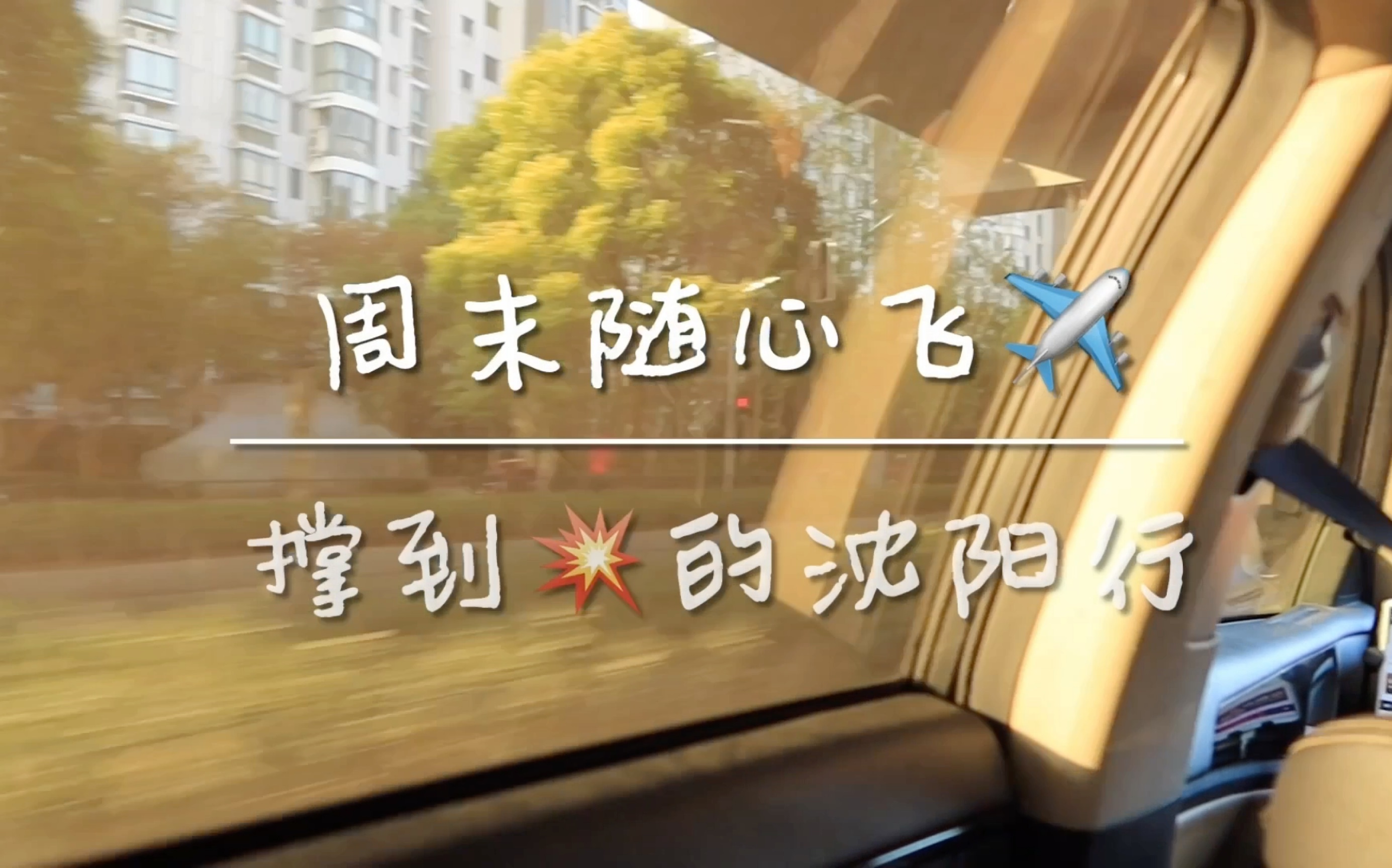 周末随心飞沈阳也太好吃了吧我爱大东北