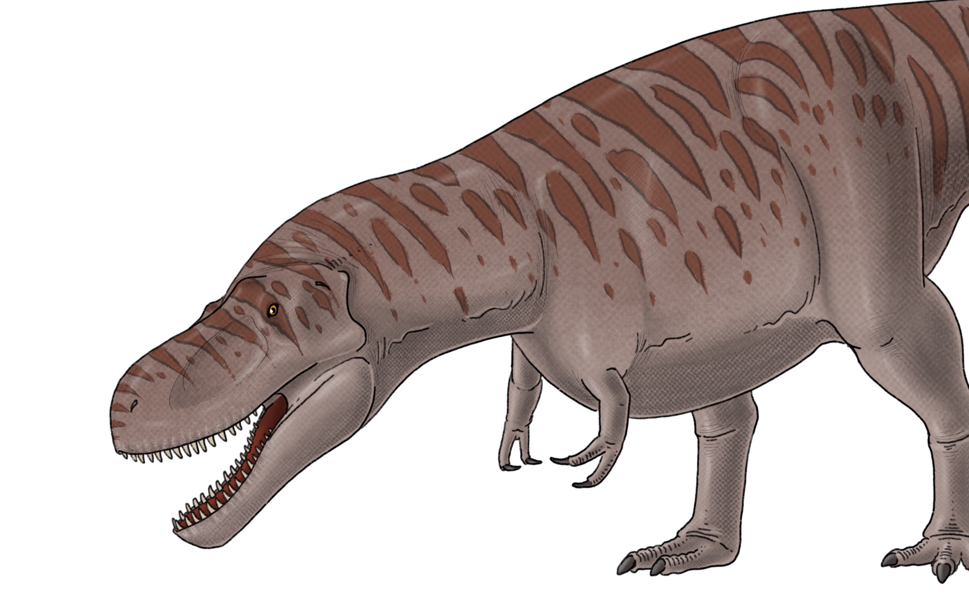 【ipad绘画】惧龙绘画过程