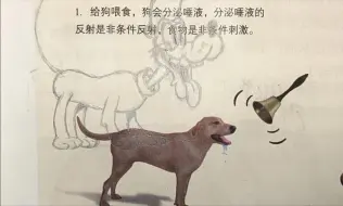 Descargar video: 感谢生物书教我学会画布鲁托