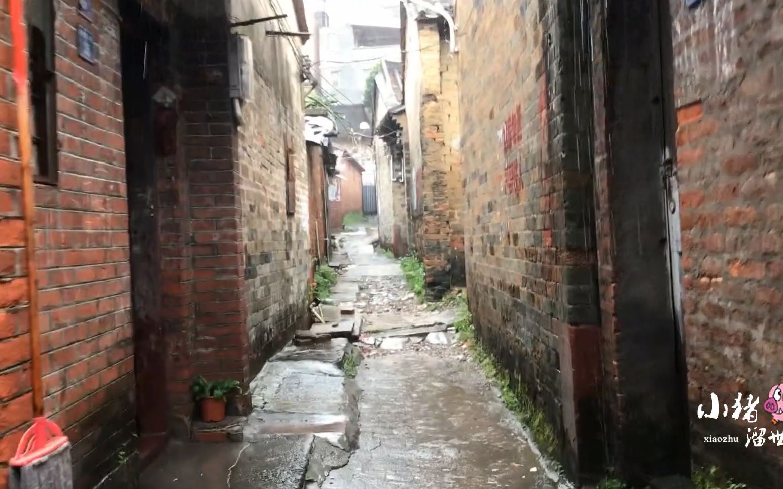 实拍长安镇增田市场,雨中的小巷子略显凄凉,再也没有欢声笑语了哔哩哔哩bilibili