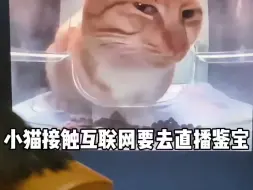 Descargar video: 《听泉坏猫之歌》