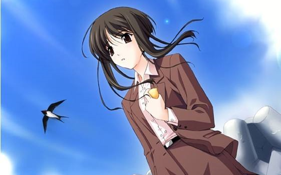 扒谱总谱swallow秋之回忆2南燕