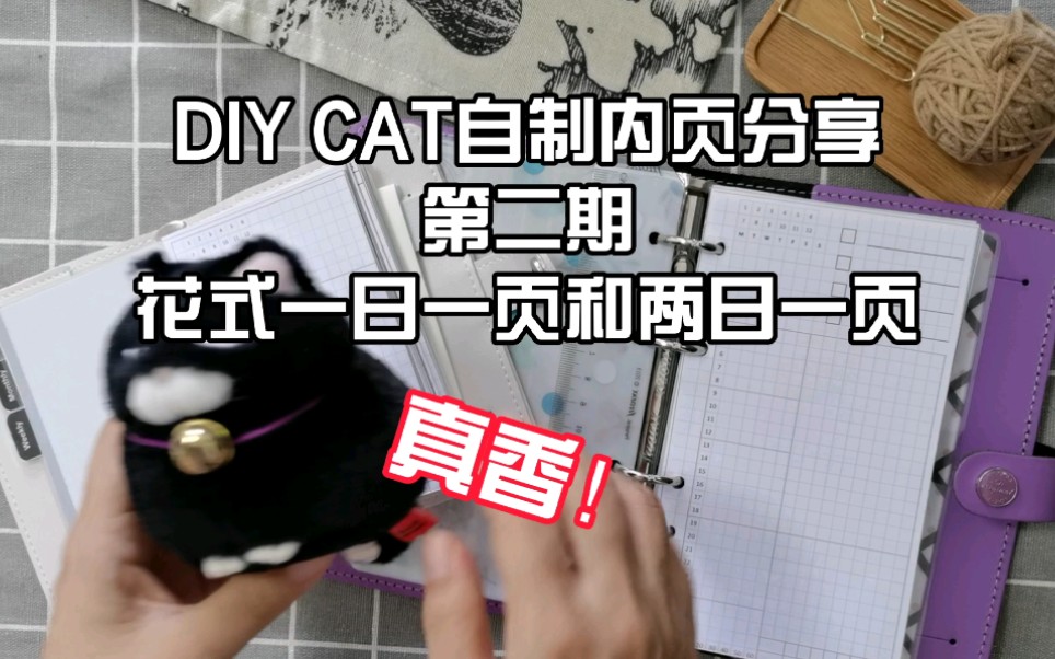 猫小嫌DIY CAT自制打印版内页分享第二期 | 一日一页 | 周计划和日计划组合 | 两日一页 | A6 A7 |活页手帐 |日程管理 时间管理哔哩哔哩bilibili