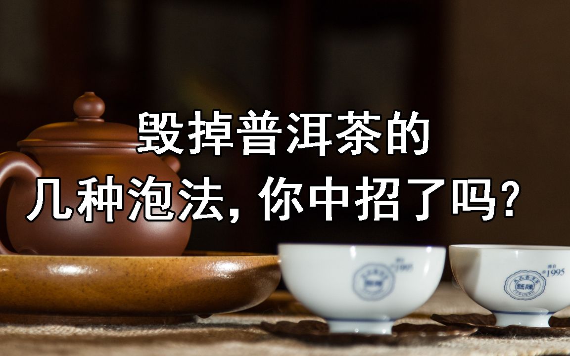 毁掉普洱茶的几种泡法,你中招了吗?哔哩哔哩bilibili