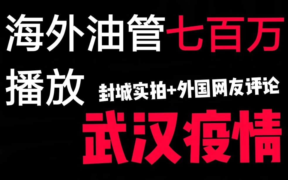 油管最火七百万播放武汉疫情封城实拍!外国小哥的vlog哔哩哔哩bilibili