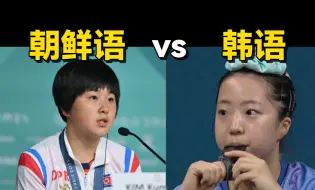 Download Video: 【韩语】朝鲜语vs韩语 到底有什么区别？