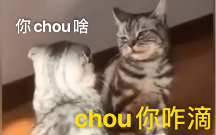 [图]猫: 中 华 有 神 喵