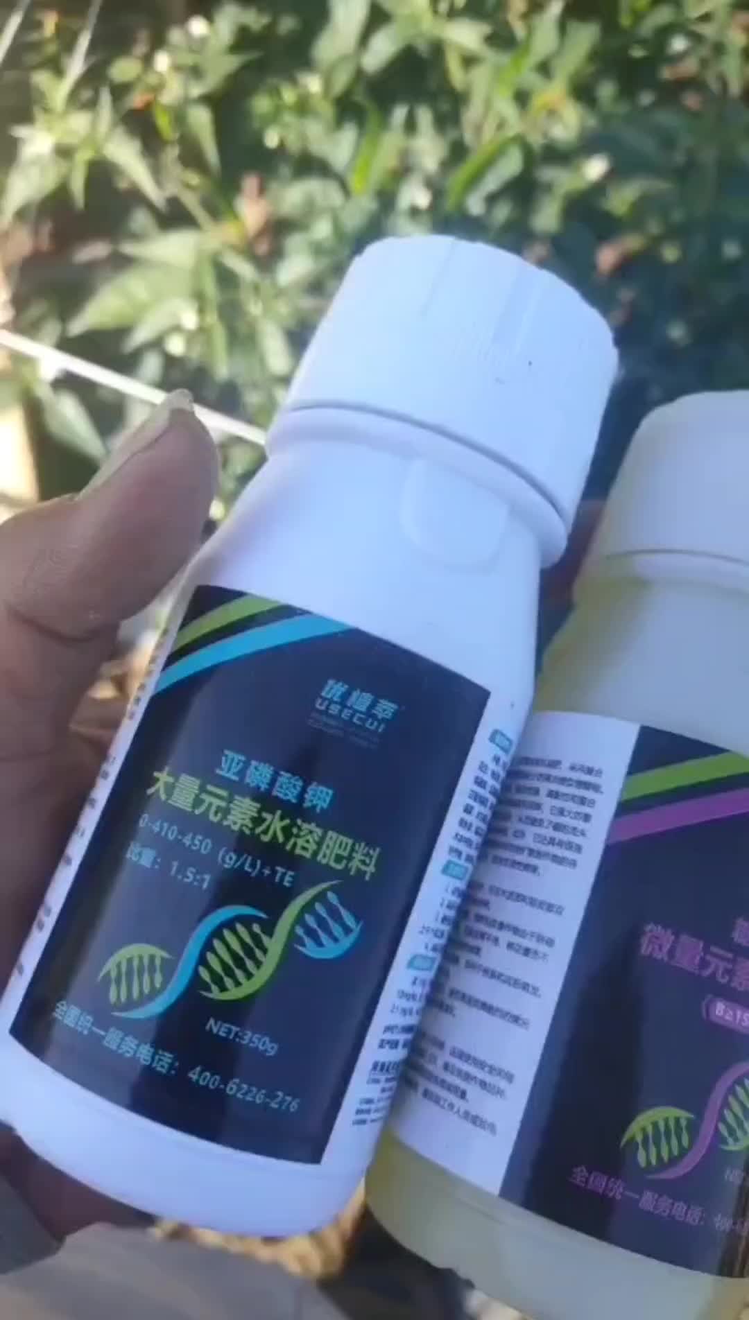 优植萃亚磷酸钾和糖醇硼在辣椒上的反馈哔哩哔哩bilibili