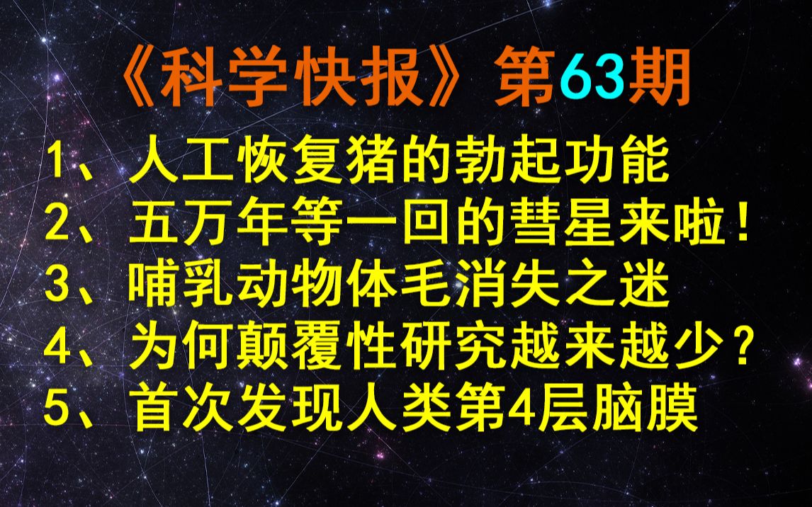 华南理工大学用人造组织,恢复了猪的勃起功能!【科学快报】第63期哔哩哔哩bilibili