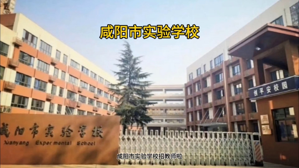 咸阳市实验学校招教师啦