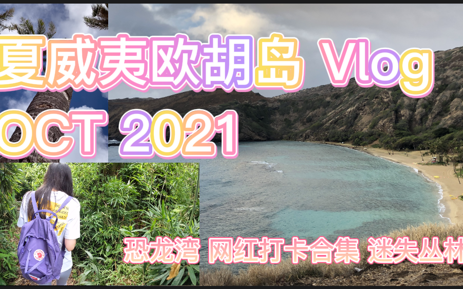 [图]夏威夷欧胡岛Vlog 1/3 恐龙湾浮潜 丛林遇险 环岛游