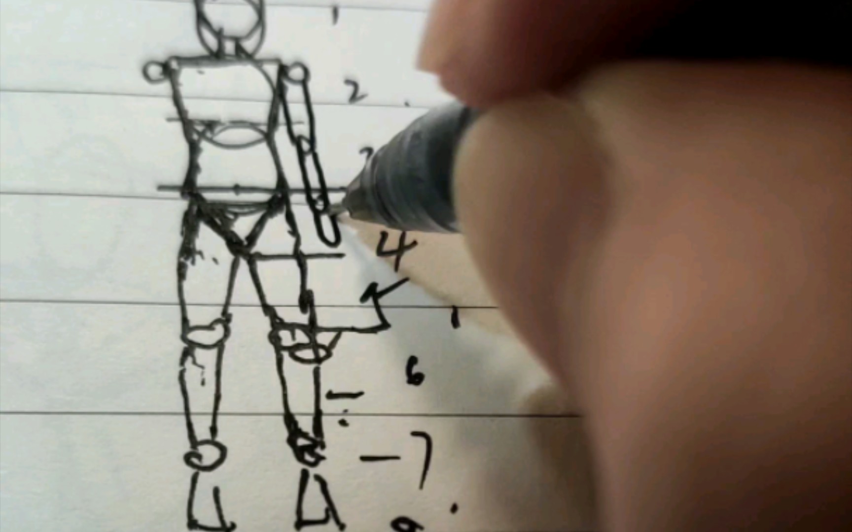 画人体(八头身)