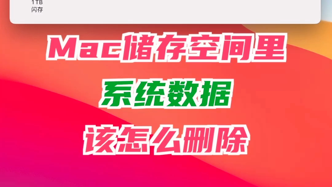 Mac储存空间里的“系统数据”(其他),到底该怎么删除?哔哩哔哩bilibili