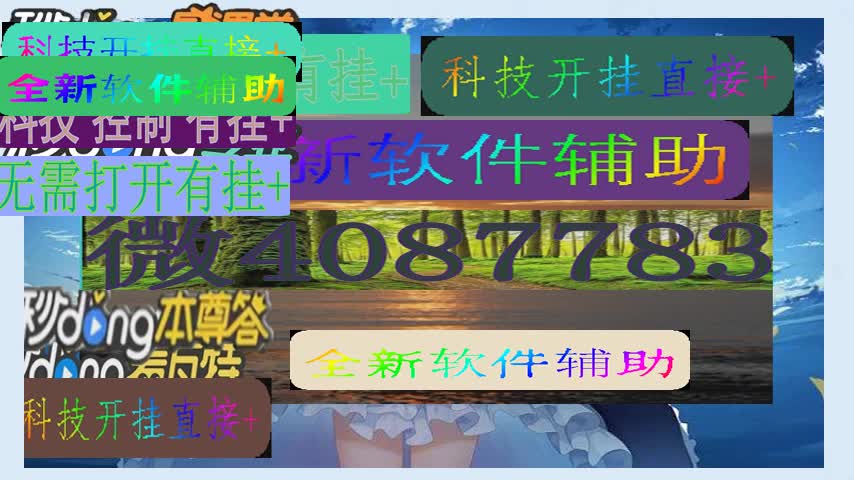 在手机上打跑胡子可以开挂吗