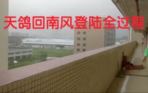 Tải video: 台风“天鸽”登陆地金湾红旗镇回南风实录