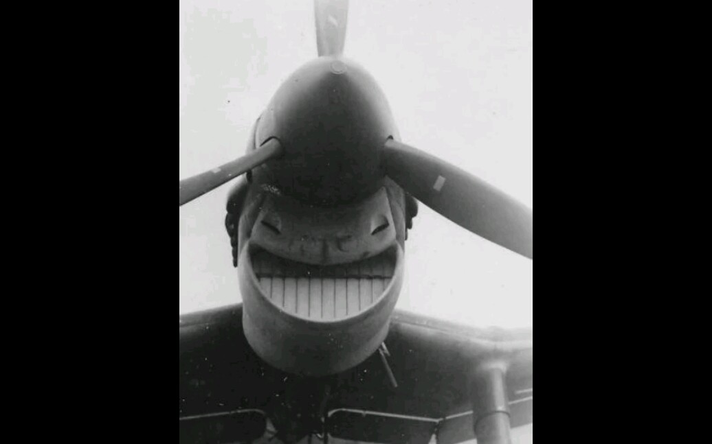 飞友手机里的那些沙雕表情包(1)_哔哩哔哩 (゜-゜)つロ 干杯~-bili