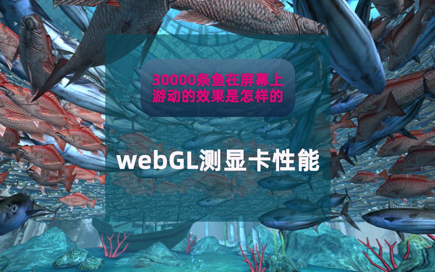 通过浏览器测试GPU性能的网站 全屏幕30000条鱼游来游去的效果是怎样的?哔哩哔哩bilibili