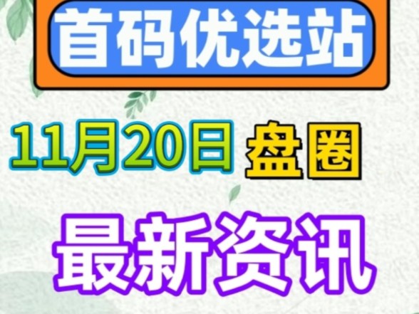 2024年11月20日|首码资讯:梦幻城、卡特天空之城、优伴科技、豌豆计划、阿迈卡、时空领域、食领未来、云籍、吞噬星空、万股会等哔哩哔哩bilibili