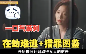 Download Video: 《在劫难逃》+《猎罪图鉴》，国产刑侦悬疑剧一次看个够