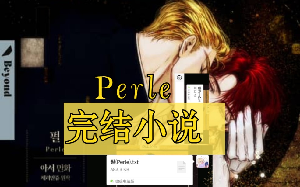 【完结小说】《Perle》哔哩哔哩bilibili