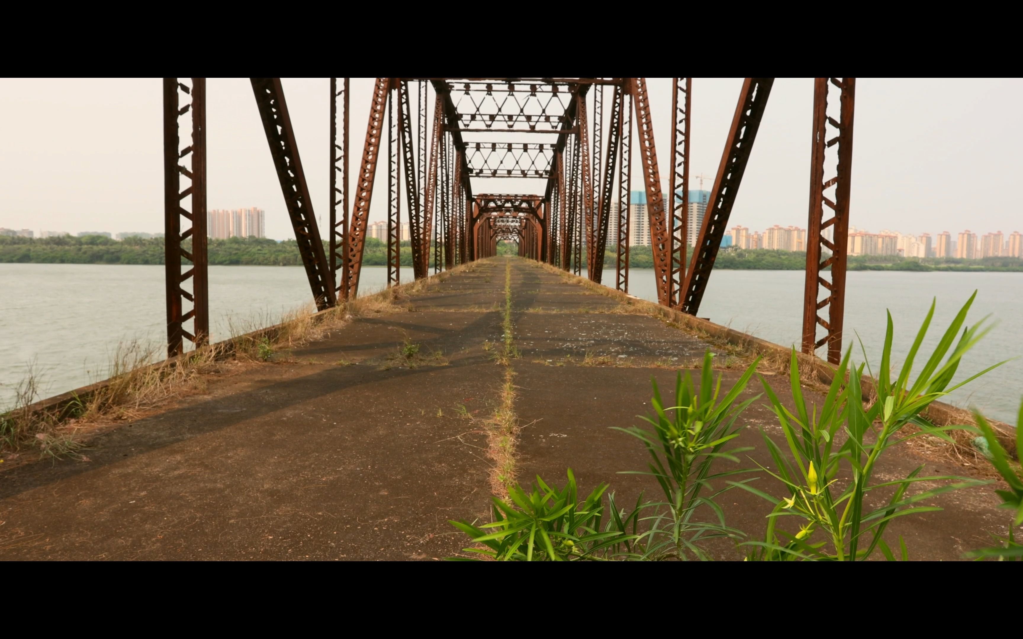 海口铁桥图片