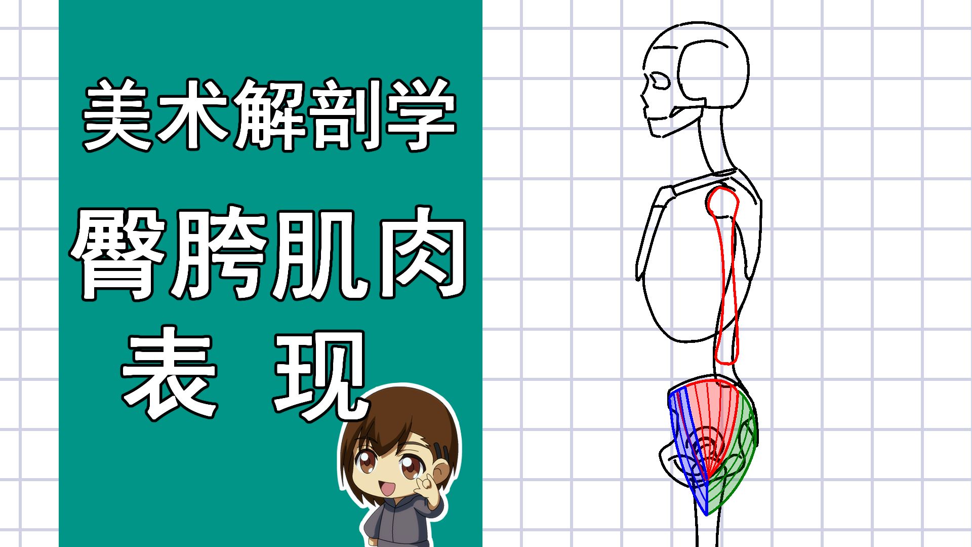 美术解剖学-52-臀胯肌肉表现