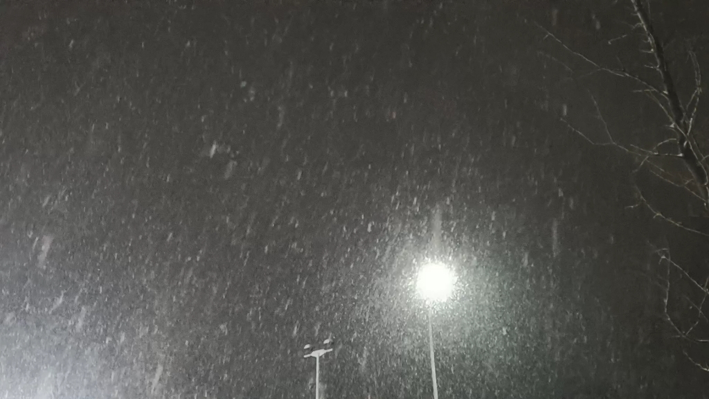 晚上下雪的照片真实图片