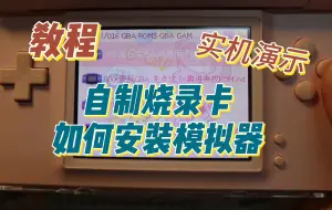 Download Video: 【教程】烧录卡如何安装模拟器（实机演示）