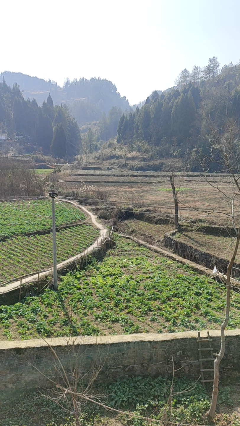 四川盆地真实图片