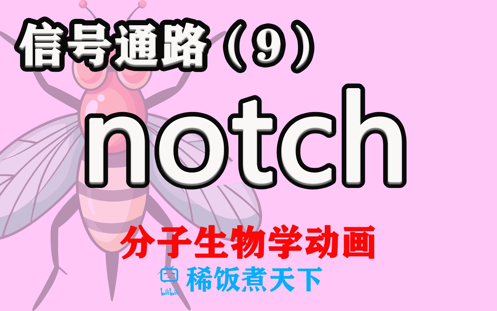 【分子生物学动画】notch 信号通路(9)哔哩哔哩bilibili