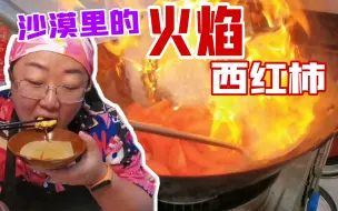 Download Video: 房车住在沙漠即将弹尽粮绝，努力搞两菜一汤，配上惊心动魄的尖叫