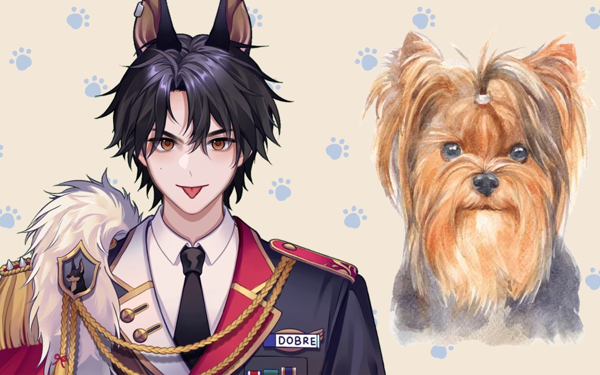 【Dobre的狗狗百科】第13期【约克夏犬(Yorkshire Terrier)】哔哩哔哩bilibili