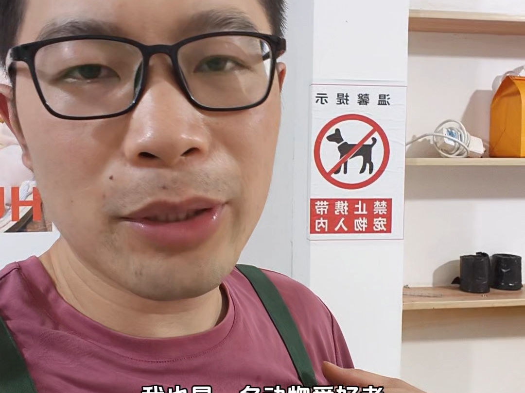 别总欺负我这个老实人，说真的，每次都搞得我里外不是人#宠物行为规范 #蛋蛋馄饨 #宠物规范管理 #二蛋蛋