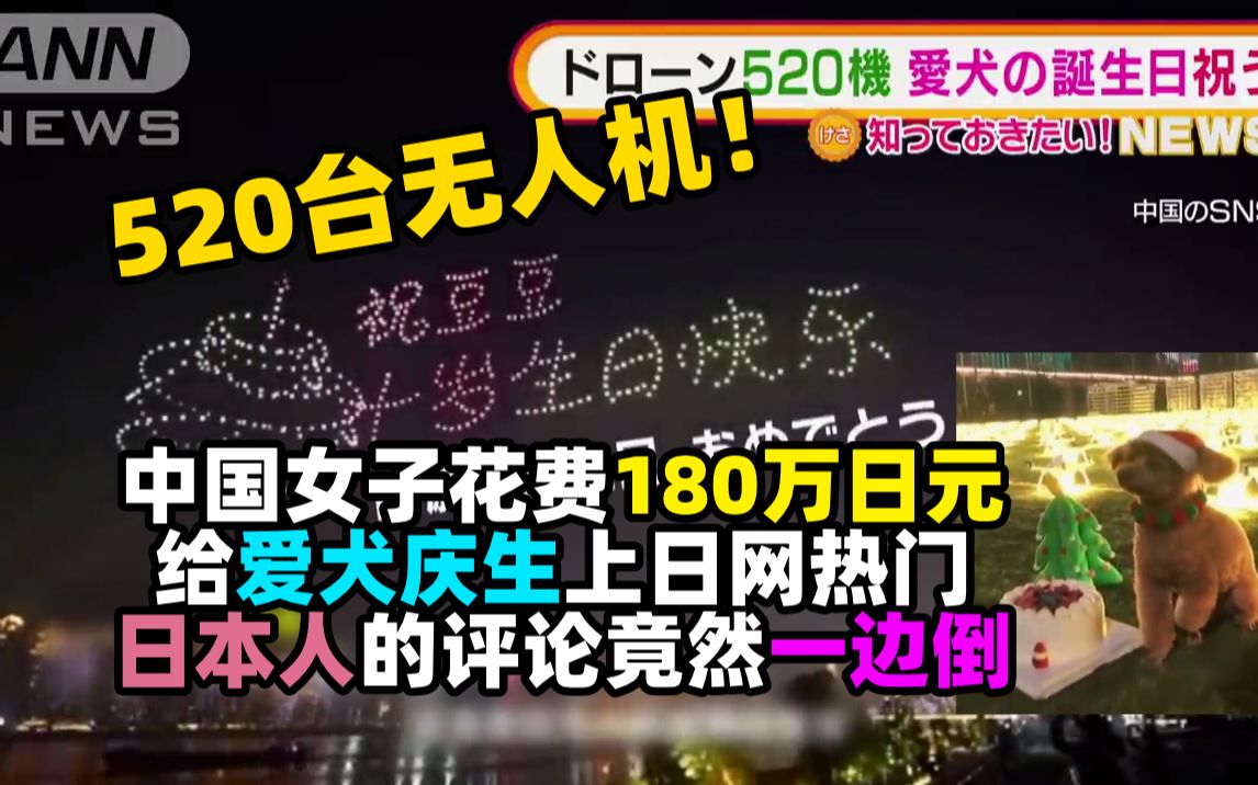 【惊呆日本人】中国女子用520台无人机,花费180万日元给爱犬庆生上日网热门!日本人的评论竟然一边倒哔哩哔哩bilibili