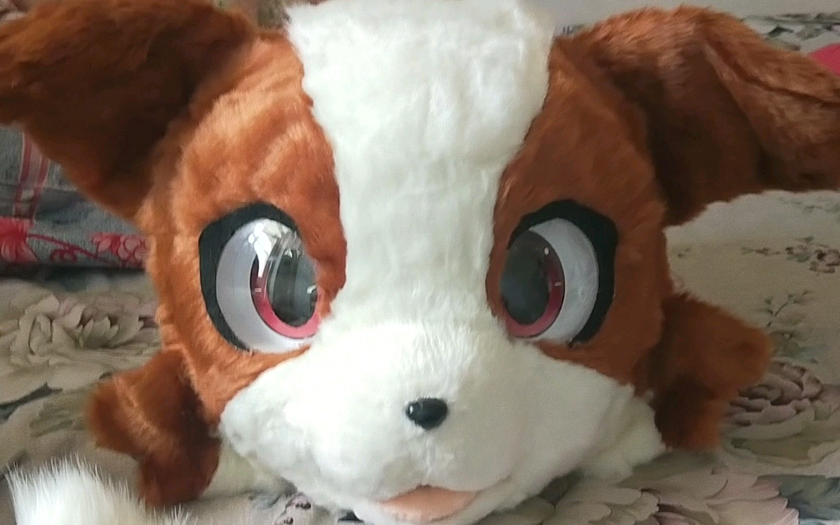 【fursuit】委托的半成品兽装展示,是牧斯的装