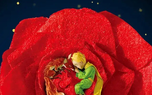 小王子四万万朵玫瑰图片