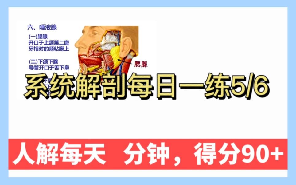 [图]《系统解剖专升本冲刺》【系统解每日一练5/6专升本系统解剖】【人体解剖复习冲刺核心考点冲刺背诵刷题每日一练打卡期末考试系统解剖】专升本系统解剖人体解剖期末考试