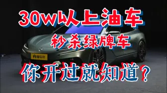 Download Video: 30w以上燃油车高速秒杀混动纯电！！！？