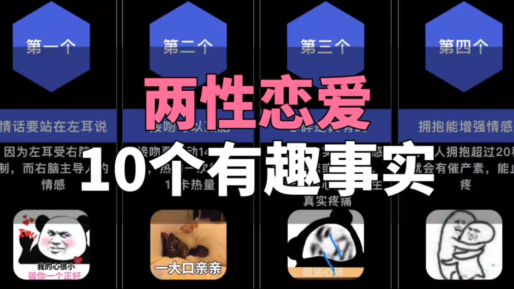 10个两性恋爱的有趣事实哔哩哔哩bilibili