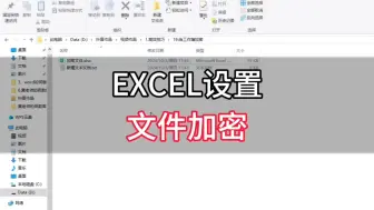 Download Video: 如何给EXCEL&WPS文件设置加密，打开文件需要密码？