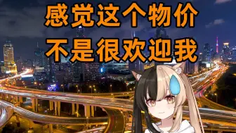 Download Video: 去了趟上海，快算不明白人民币购买力了【上海游记流水账】