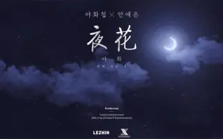 夜花 哔哩哔哩 Bilibili 夜花 哔哩哔哩 Bilibili